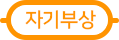수도권 지하철 자기부상선